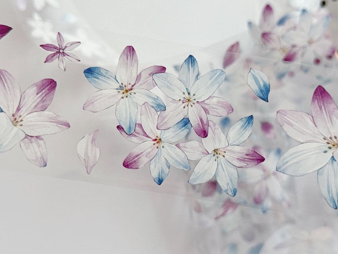 咔咔STUDIO《风雨兰》海外マスキングテープ　マステ 【2642】