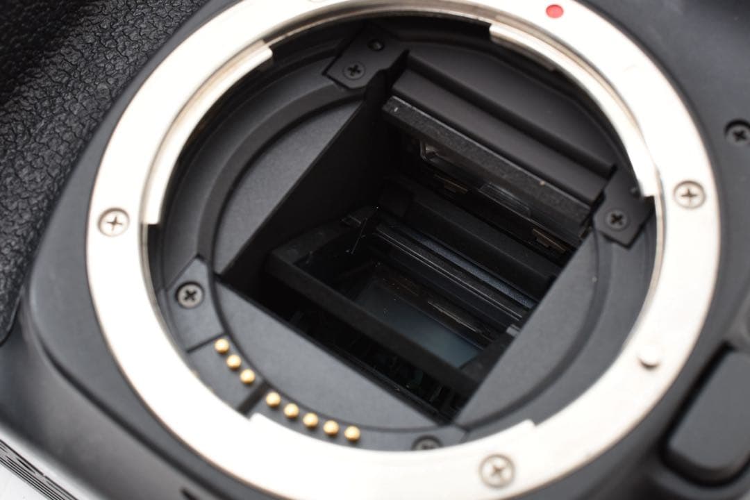 Canon EOS 80D/望遠レンズセットCanon EF100-300㎜