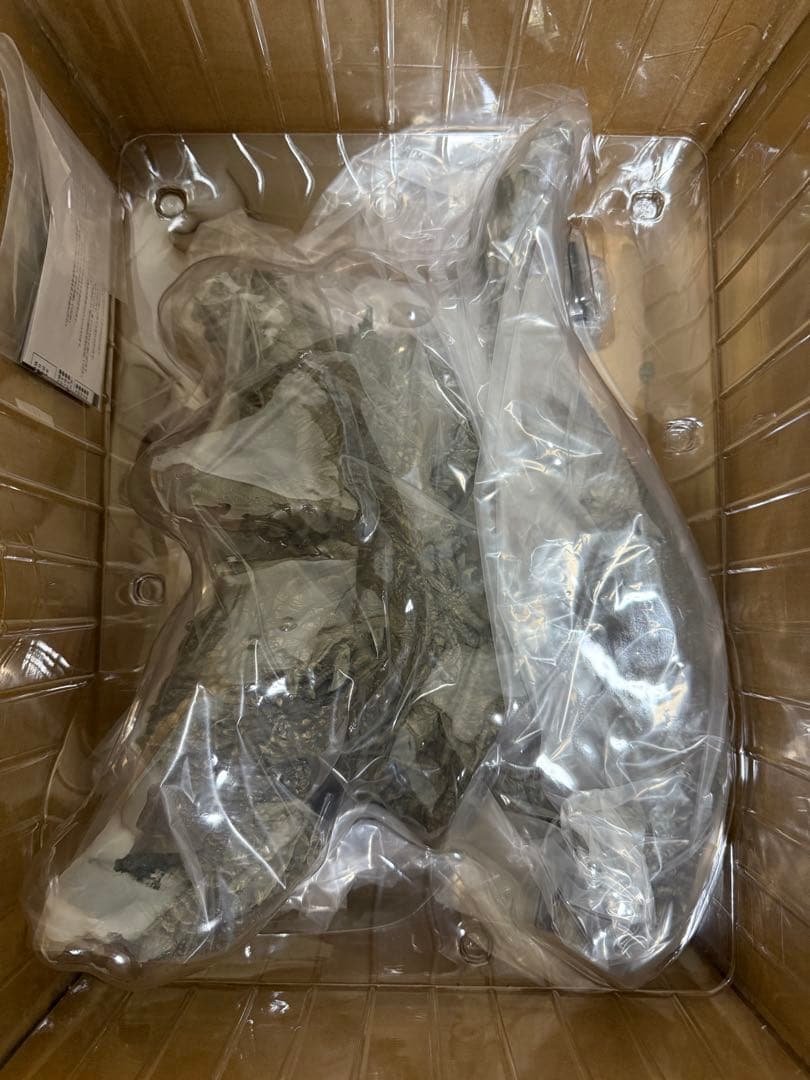 東宝30cmシリーズ ゴジラ2023 一般流通版 ゴジラ-1.0