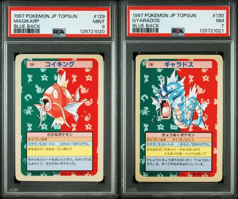 PSA 9 7 コイキング　ギャラドス 2set トップサン　青裏 1997年