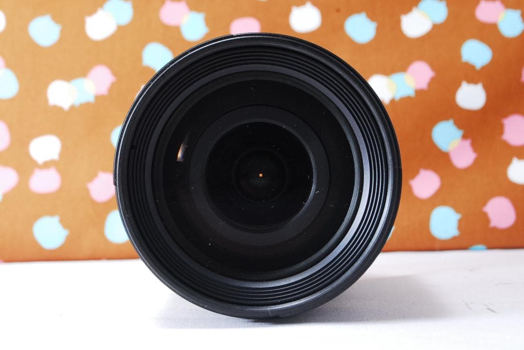 ✨新品級✨ショット数1236回✨Nikon D50 レンズセット