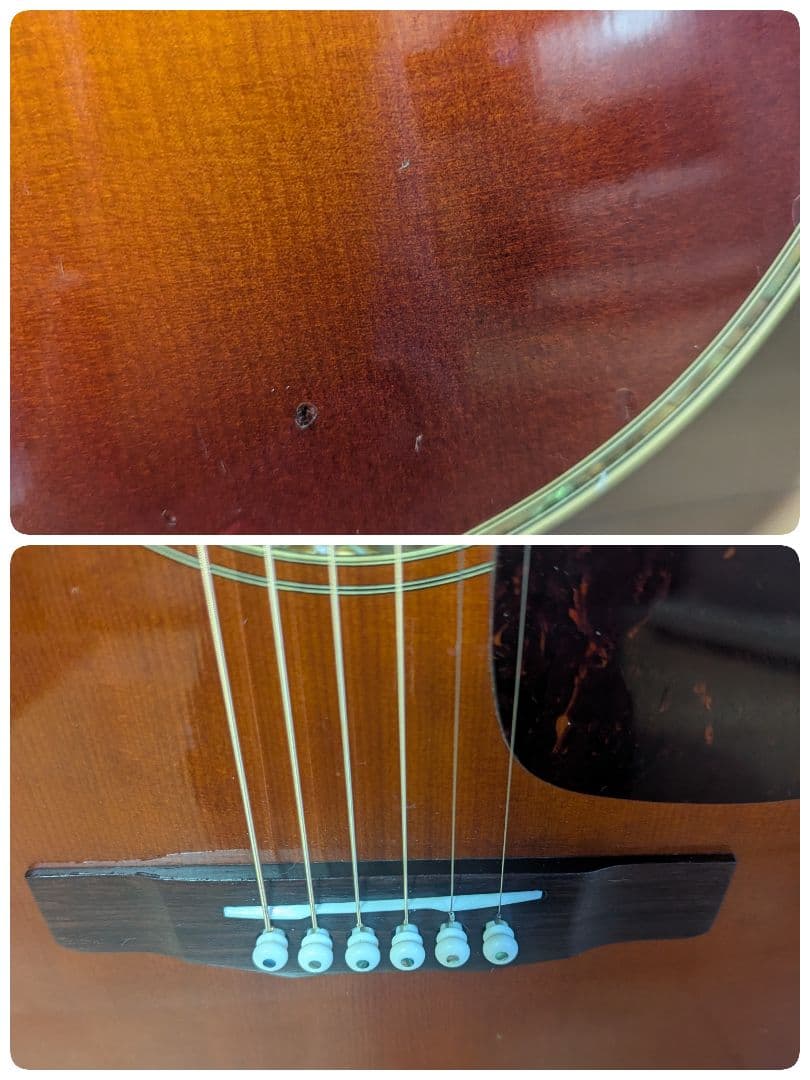 ♪訳あり！Morris　M-50F ハカランダ♪