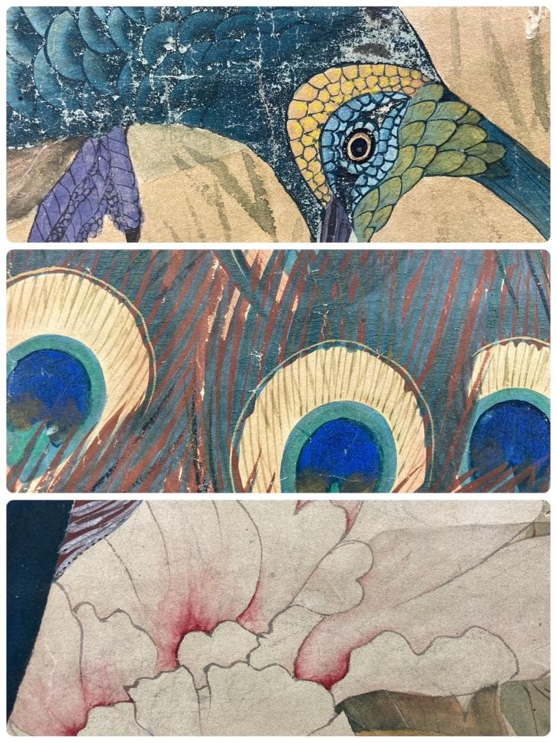 渡辺崋山「孔雀」掛軸 紙本 識箱 二重箱：江戸時代後期