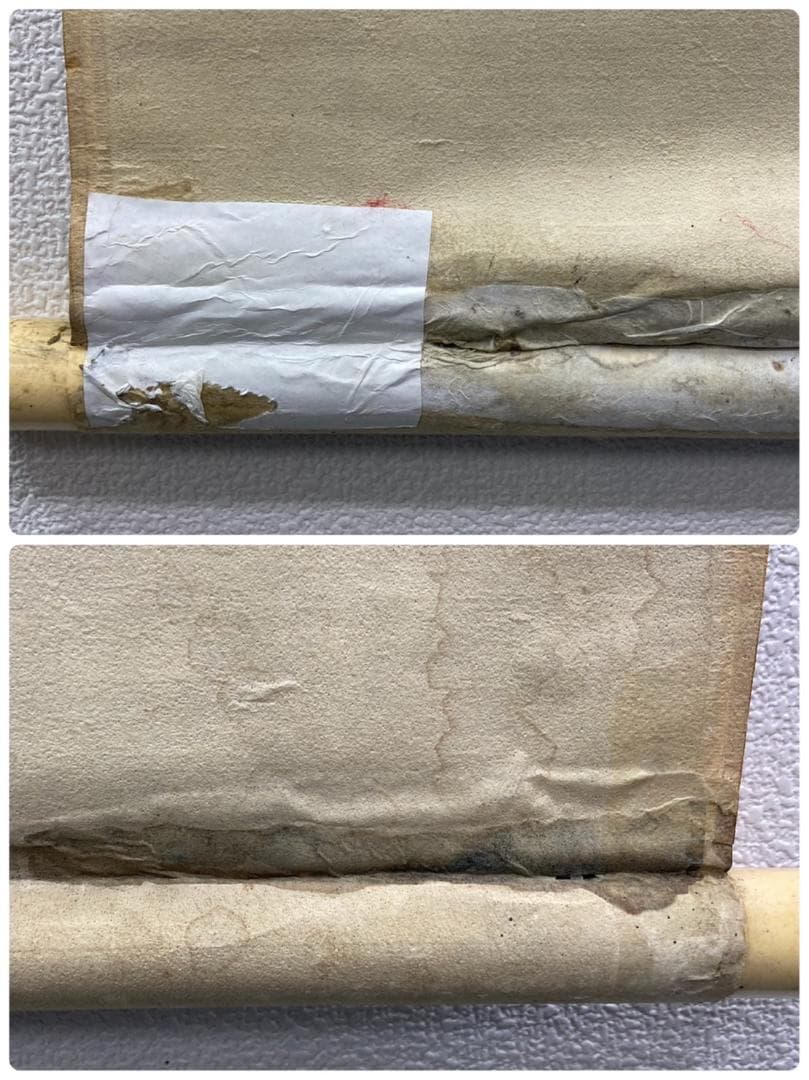 渡辺崋山「孔雀」掛軸 紙本 識箱 二重箱：江戸時代後期