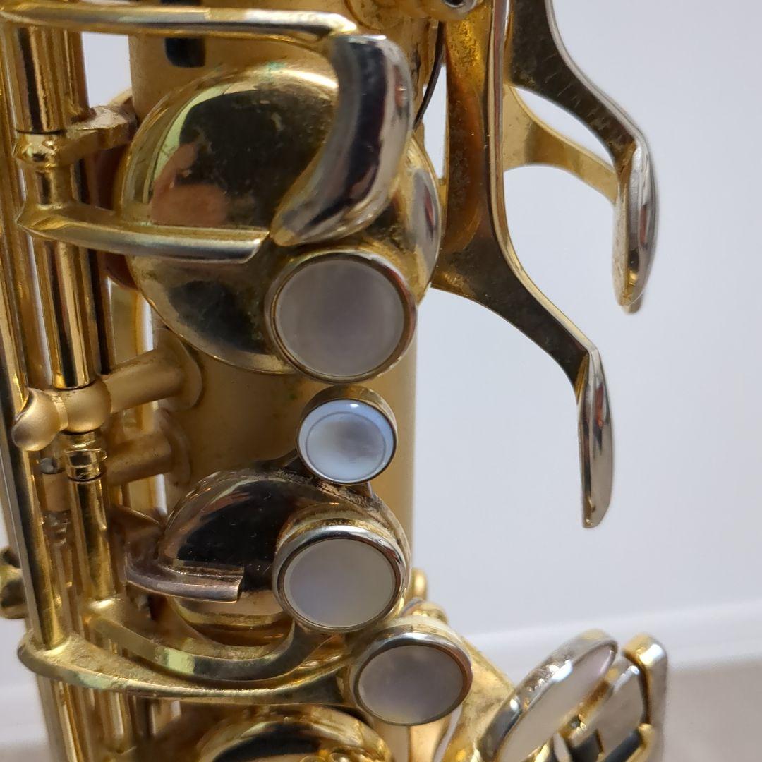 borgani pearl gold ボガーニ　テナーサックス