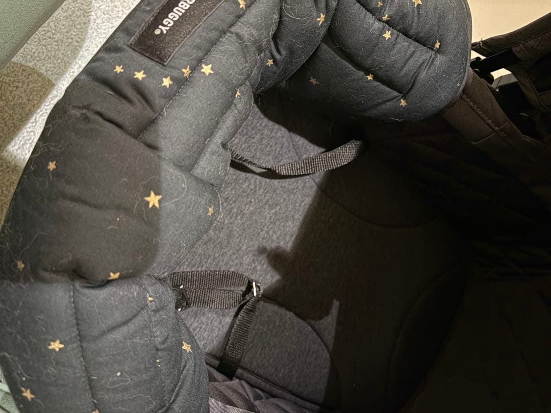 AIRBUGGY FITT WIZ X ペットカート キャリーおまけ多数