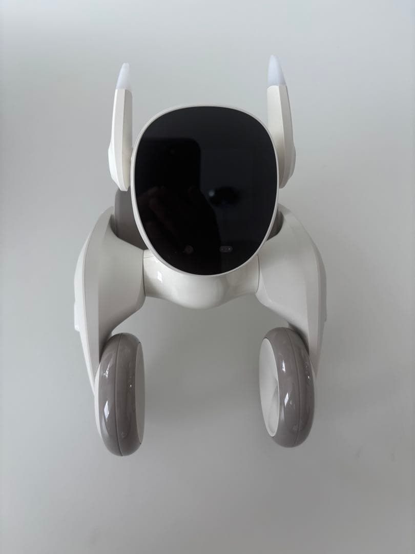 【キムちゃん販売】Loona Blue AI搭載ペットロボット　ルーナ