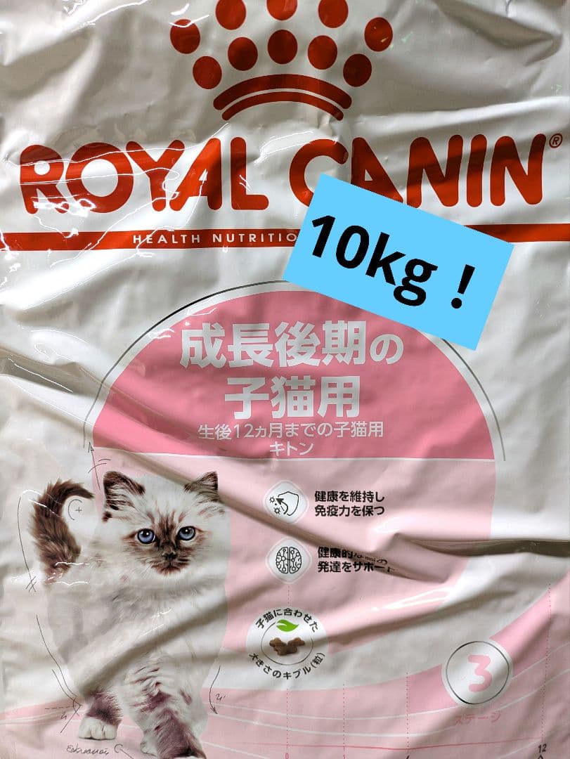  CANIN 子猫用ドライフード 10kg