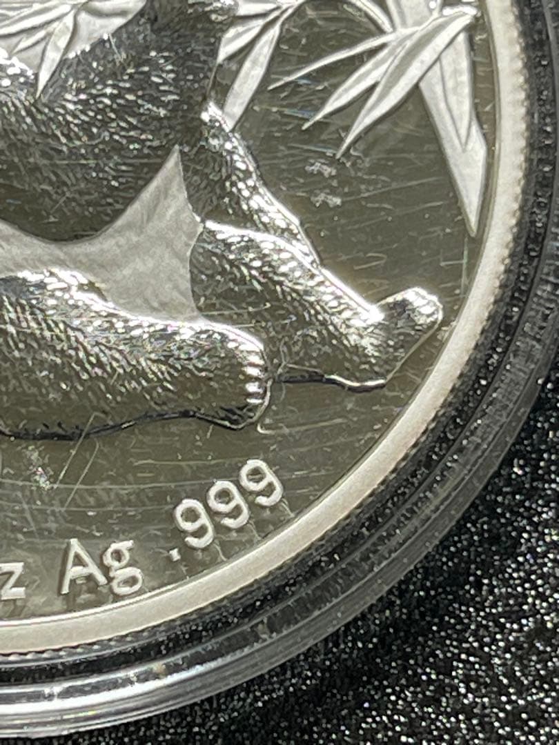 や*す様 銀貨　2007 中国　パンダ 10 元 1 オンス Ag.999