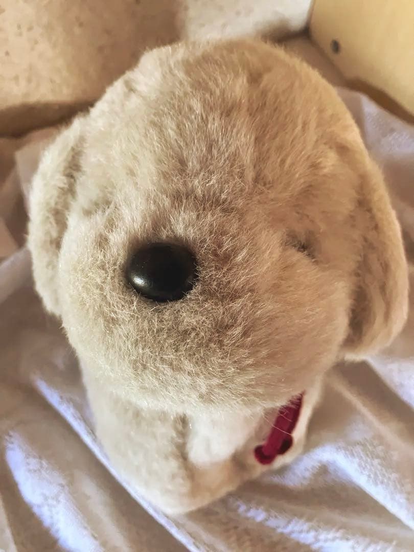 希少うめ吉 ぬいぐるみ レトロ オリエンタルトーイ めちゃくちゃ可愛い⭐︎