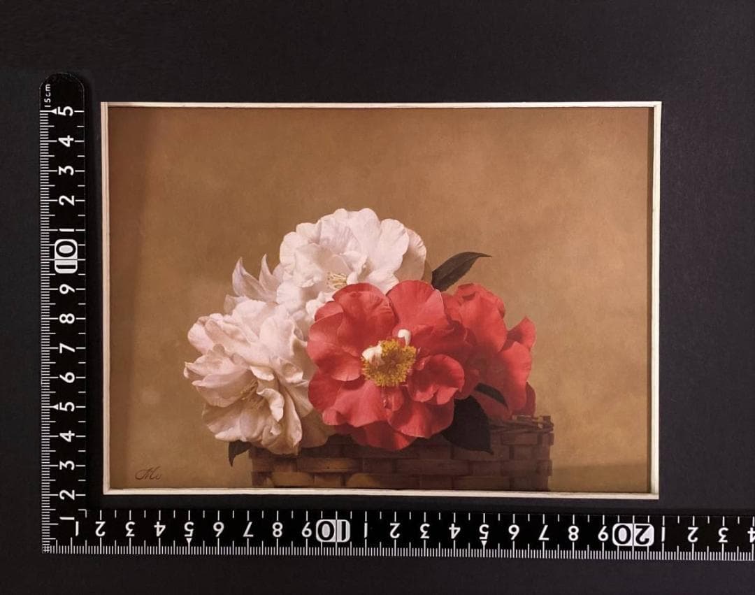 森本草介、【椿】、希少な画集より、新品額装付、マット額装付き