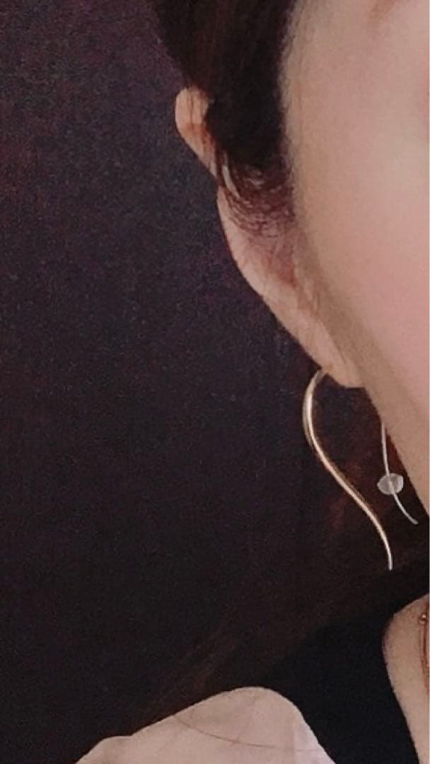 レア❣️ココシュニック▪️ピアス　bigサイズ