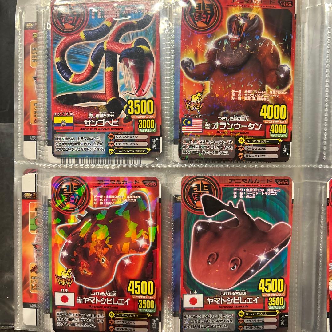 アニマルカイザー　カード　セット　104枚