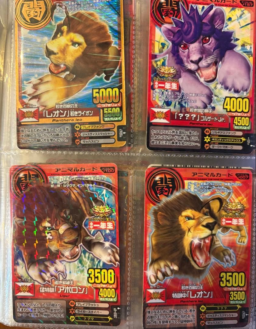 アニマルカイザー　カード　セット　104枚