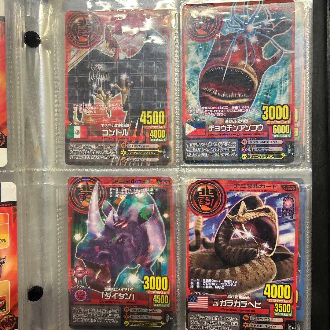 アニマルカイザー　カード　セット　104枚
