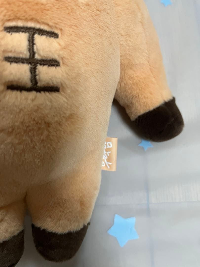 riize 40cm ぬいぐるみ ウラクバム ウラッバム ソンチャン