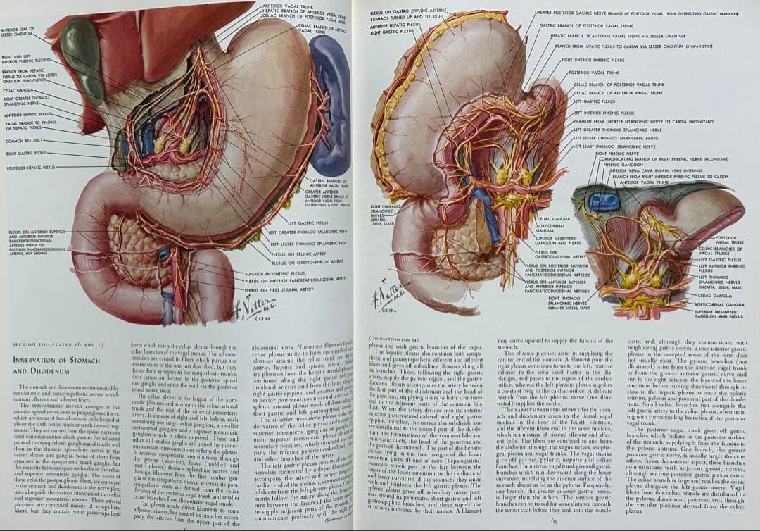 CIBA医学イラスト集 1、2、3(1-2-3)、4、5 /フランクH.ネッター