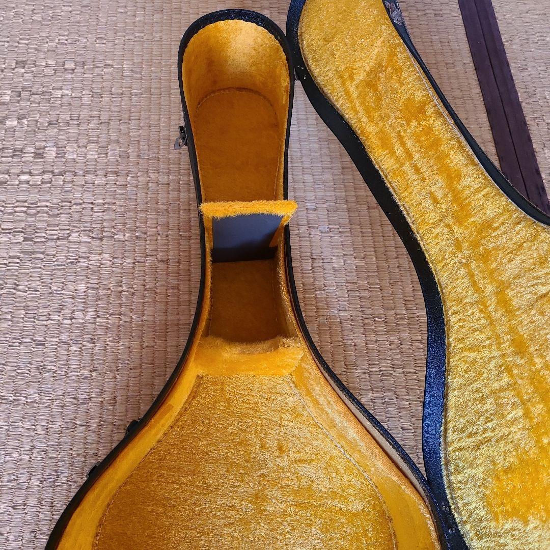 Morris アコースティックギター ドレッドノート