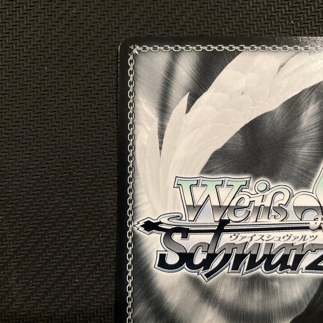 最安値 ヴァイス ブルーアーカイブ 阿慈谷ヒフミ（水着）sp サイン