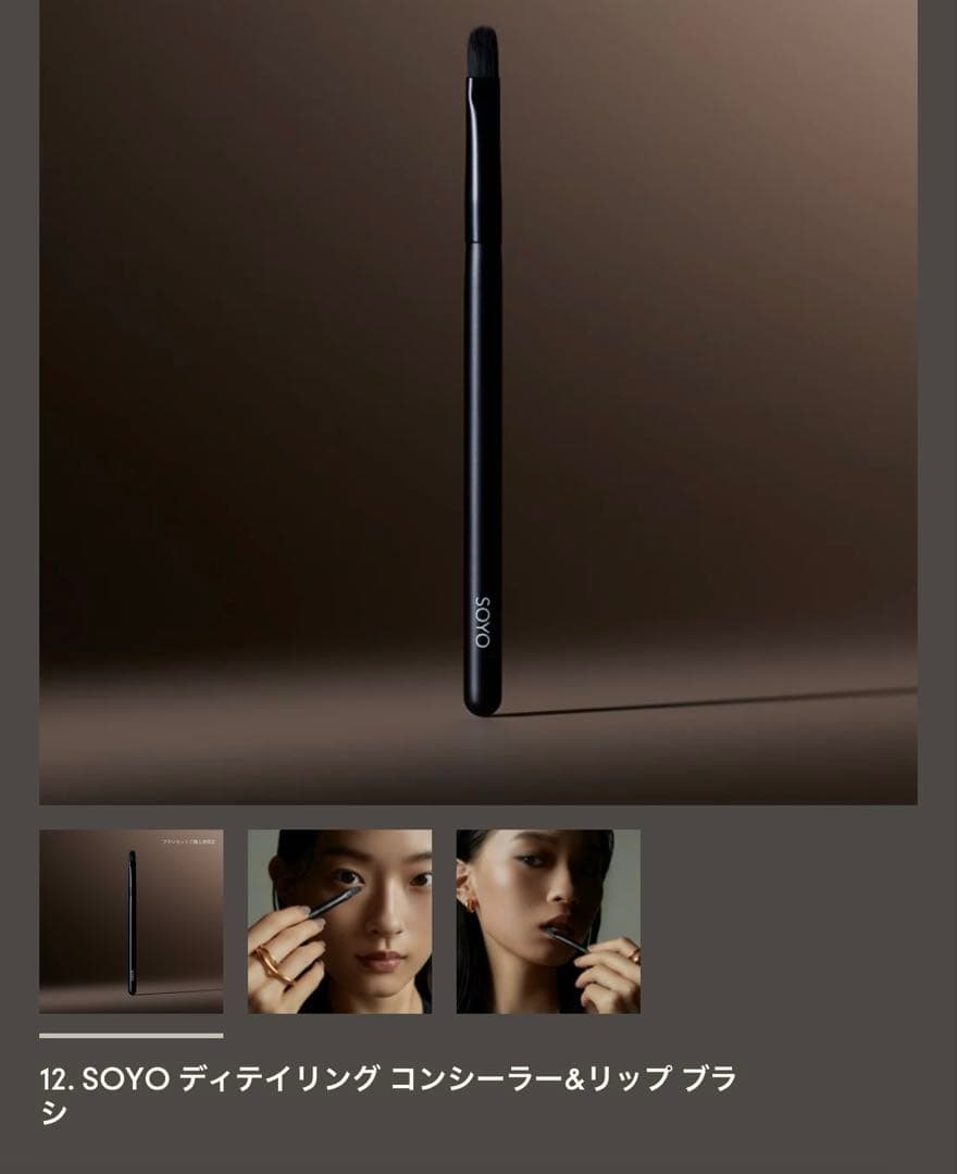 【新品未使用】SOYO ブラシ エクセレンス 3本セット 12 13 14