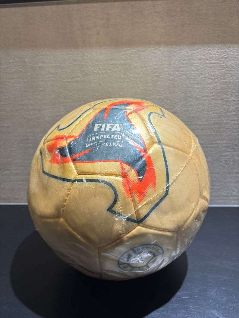 日韓ワールドカップ　2002年日韓W杯FEVERNOVA