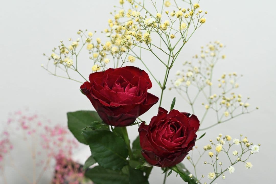 ★極上美品! NIKKOR Z 85mm f1.8s Zマウント・フルサイズ！