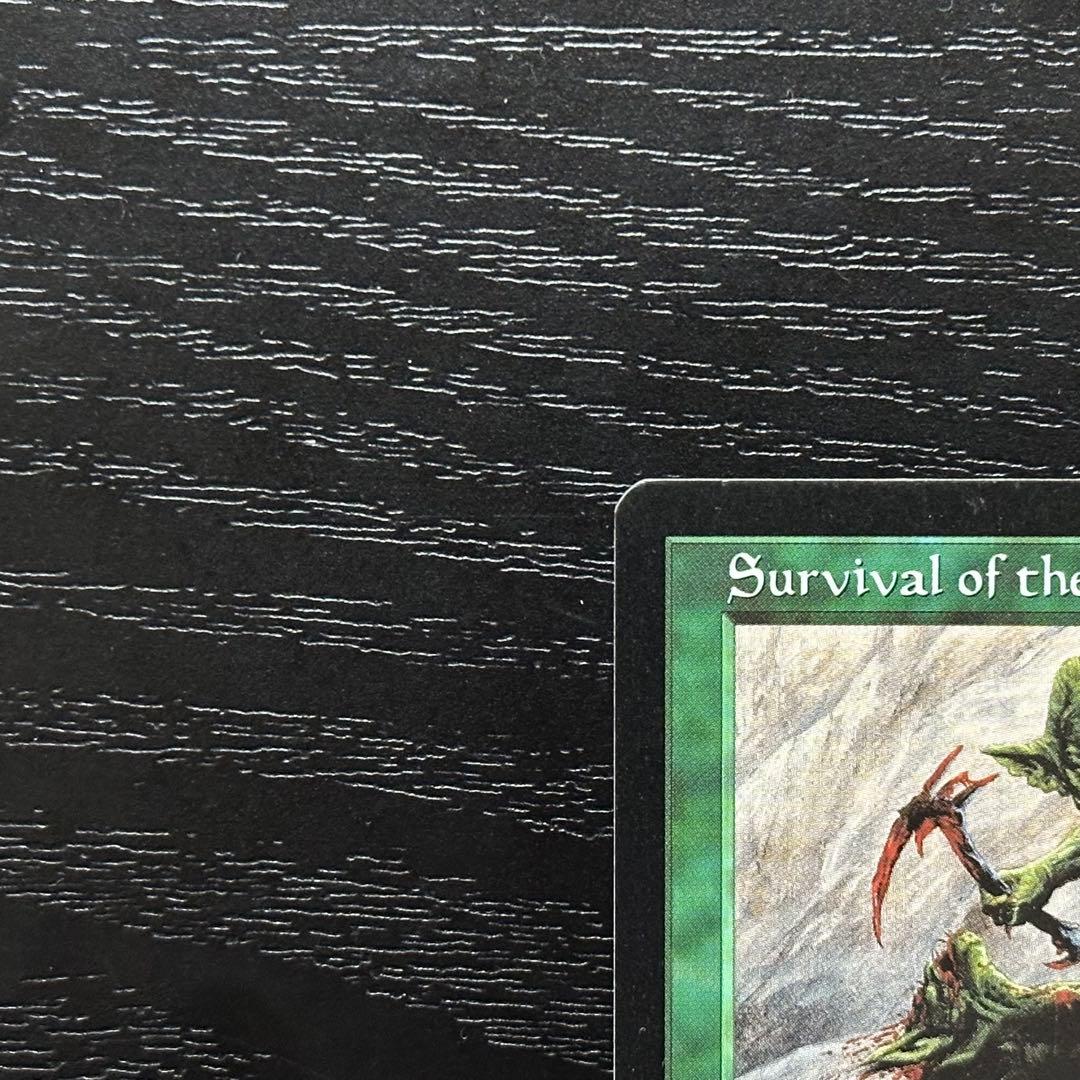 MTG 適者生存 英語