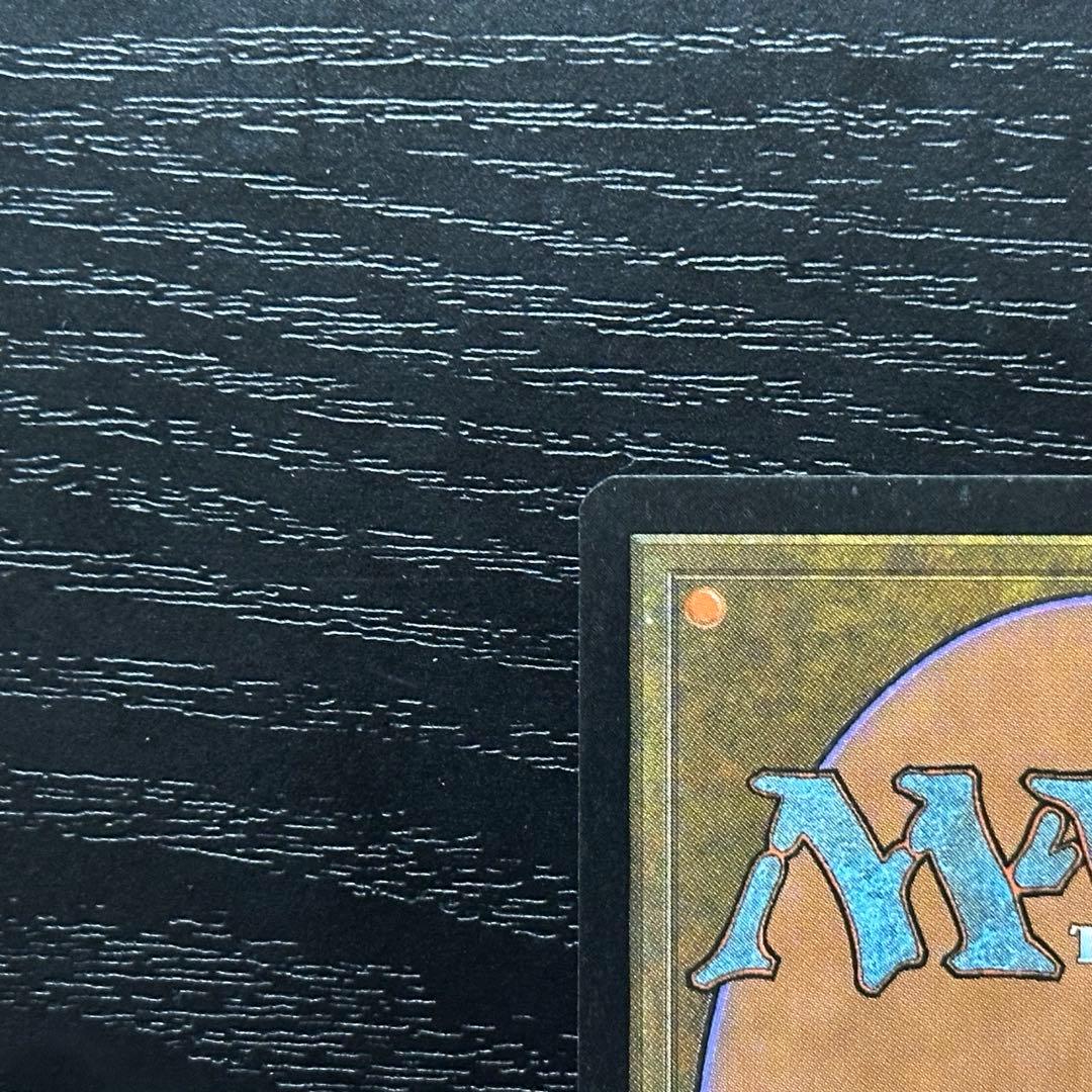 MTG 適者生存 英語