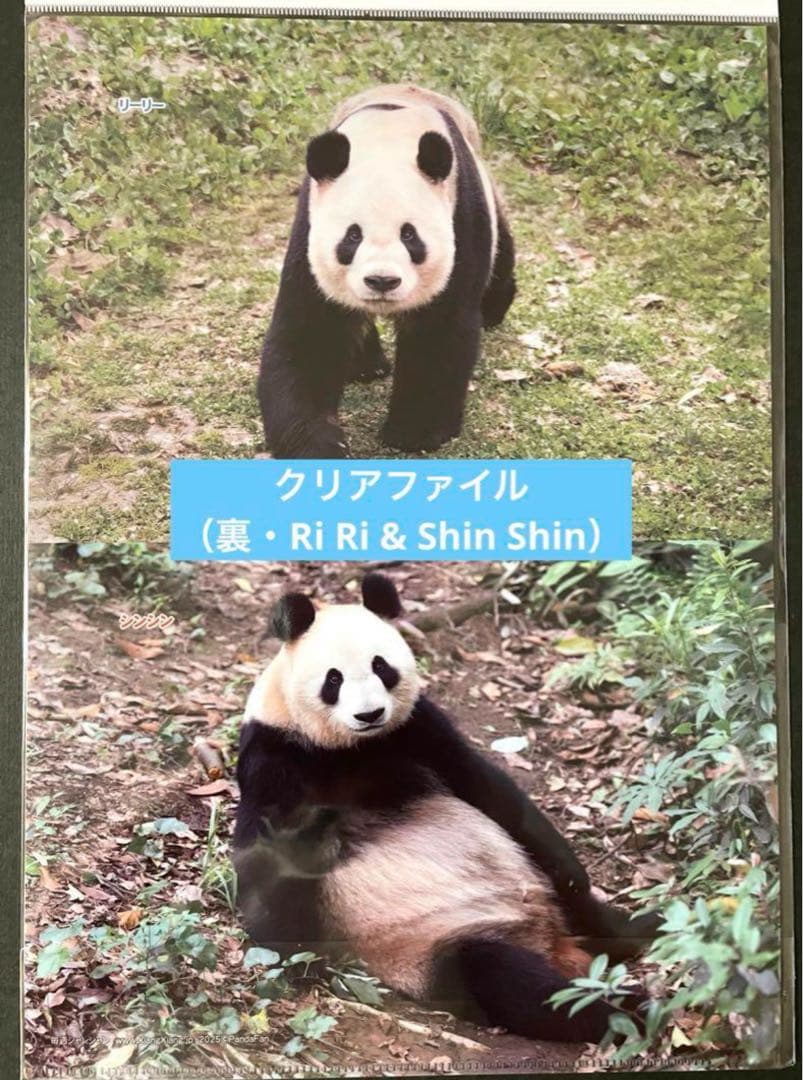 専用　シャンシャン