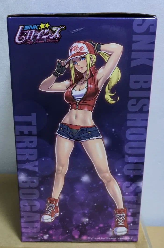 SNKヒロインズ Tag Team Frenzy テリー・ボガード 1/7