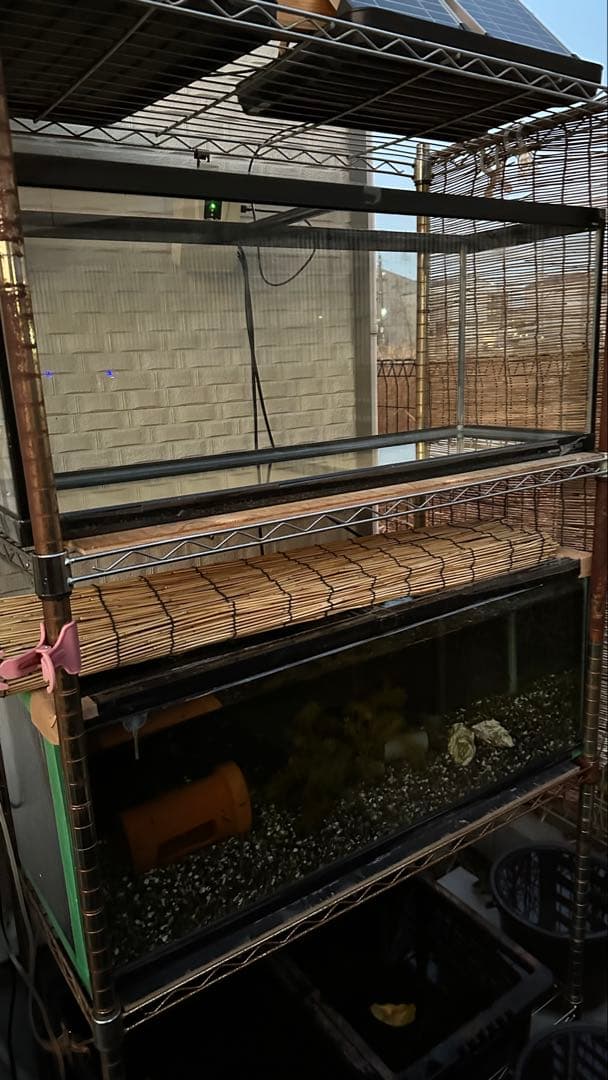 コトブキ 寿 ガラス 水槽 90cm アクアリウム 魚 爬虫類 小動物 美品