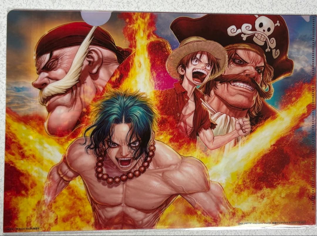 ワンピースマガジンVol.13 懸賞当選品 特製クリアファイル