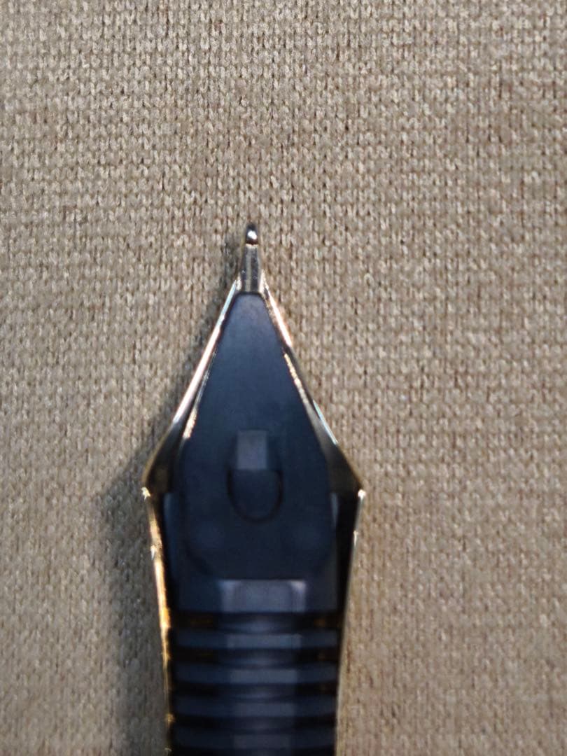 PILOT 万年筆 ジャスタス95 ネットブラック FMニブ