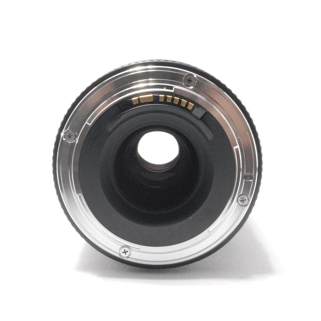 キャノン Canon EF 75-300mm 望遠レンズ 距離を超えて想いを掴む