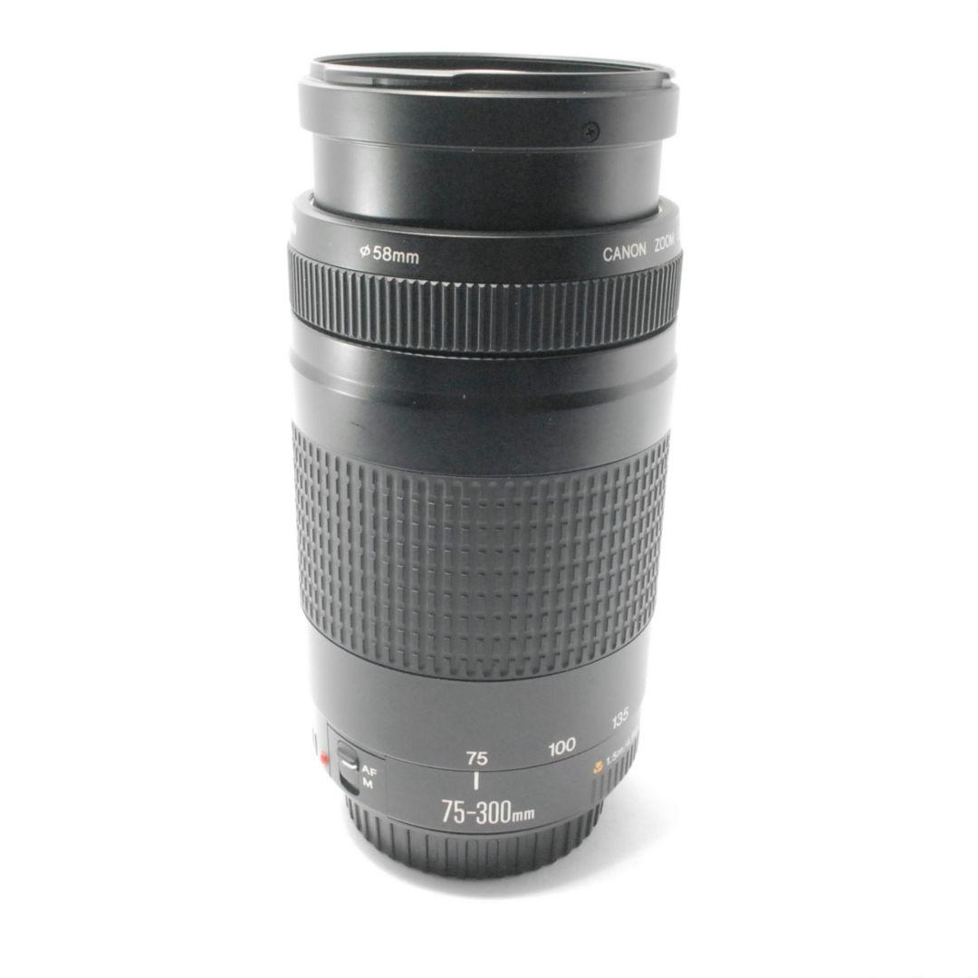 キャノン Canon EF 75-300mm 望遠レンズ 距離を超えて想いを掴む