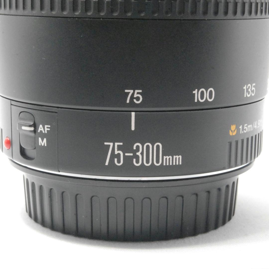 キャノン Canon EF 75-300mm 望遠レンズ 距離を超えて想いを掴む