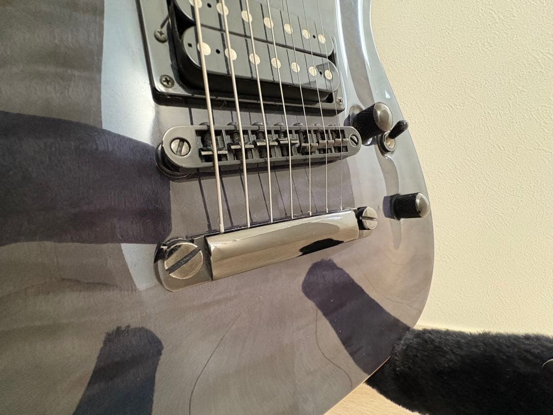 【象太郎さん専用】grass roots 7弦ギター G-7-53HR