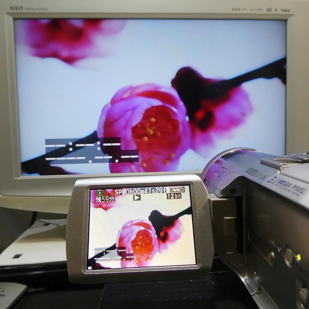 動作良好 パナソニックNV-GS250 MiniDVビデオ　DVD化に最適