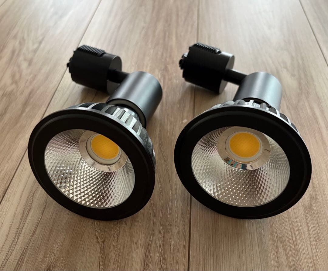 アマテラス LED AMATERASLED 10Wライト2個セット