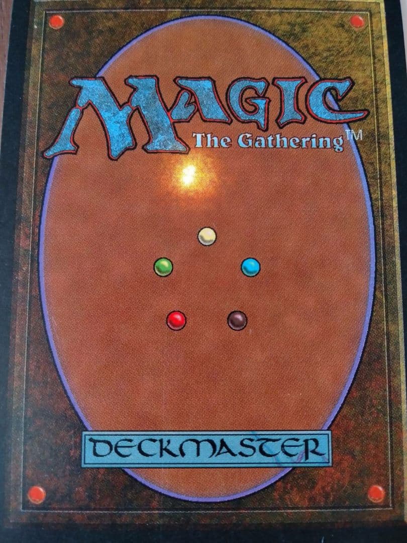 MTG  マジックザギャザリング  英語版　Savannah　サバンナ