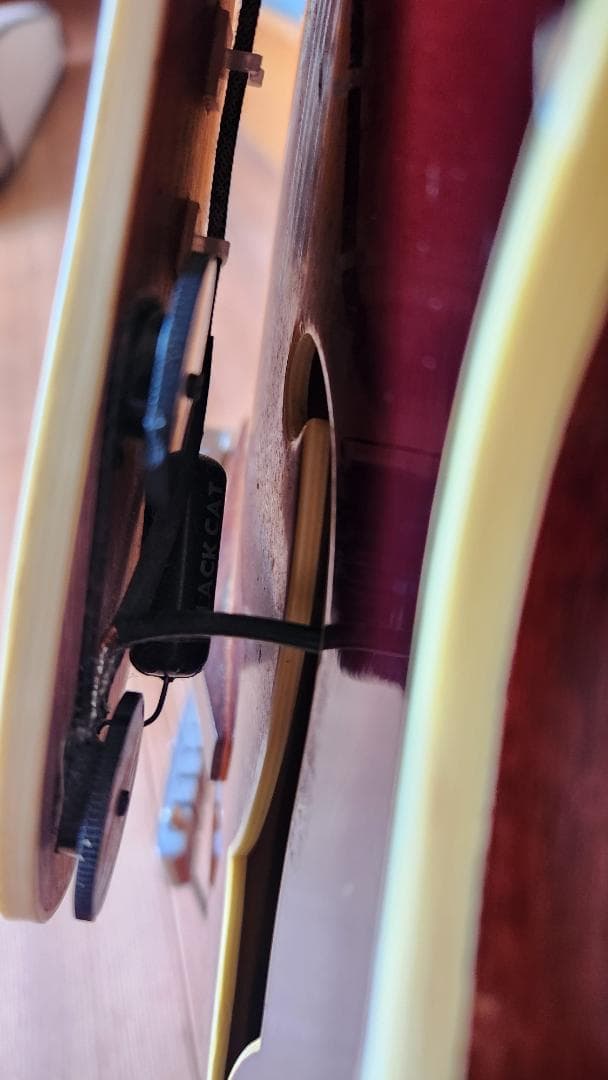 EASTMAN（イーストマン）AR-605E　中古