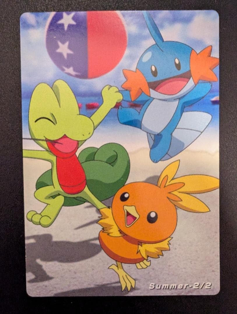 THE POKEMON WEEKLY Summer 1・2