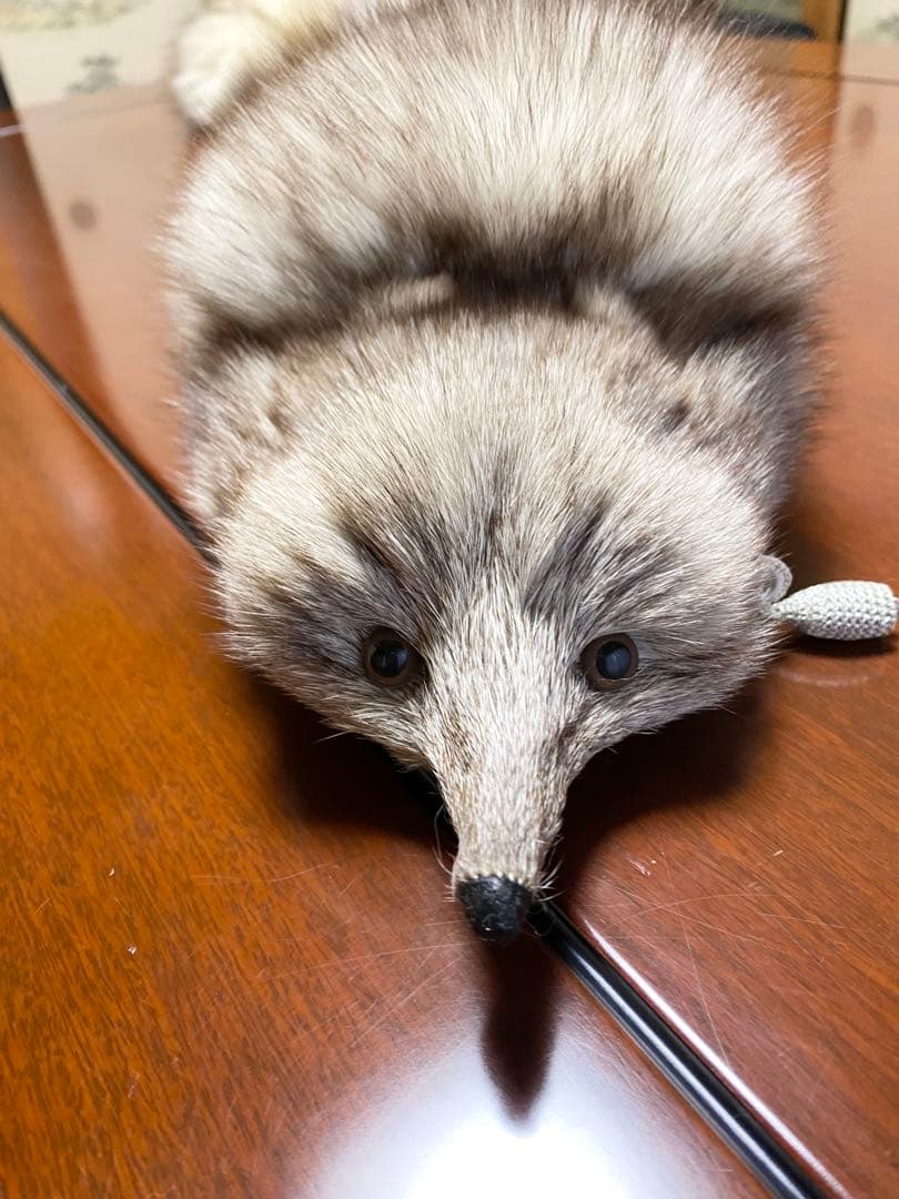 ミンクファー　マフラー　顔、脚、尾付き　リアルファー　襟巻き