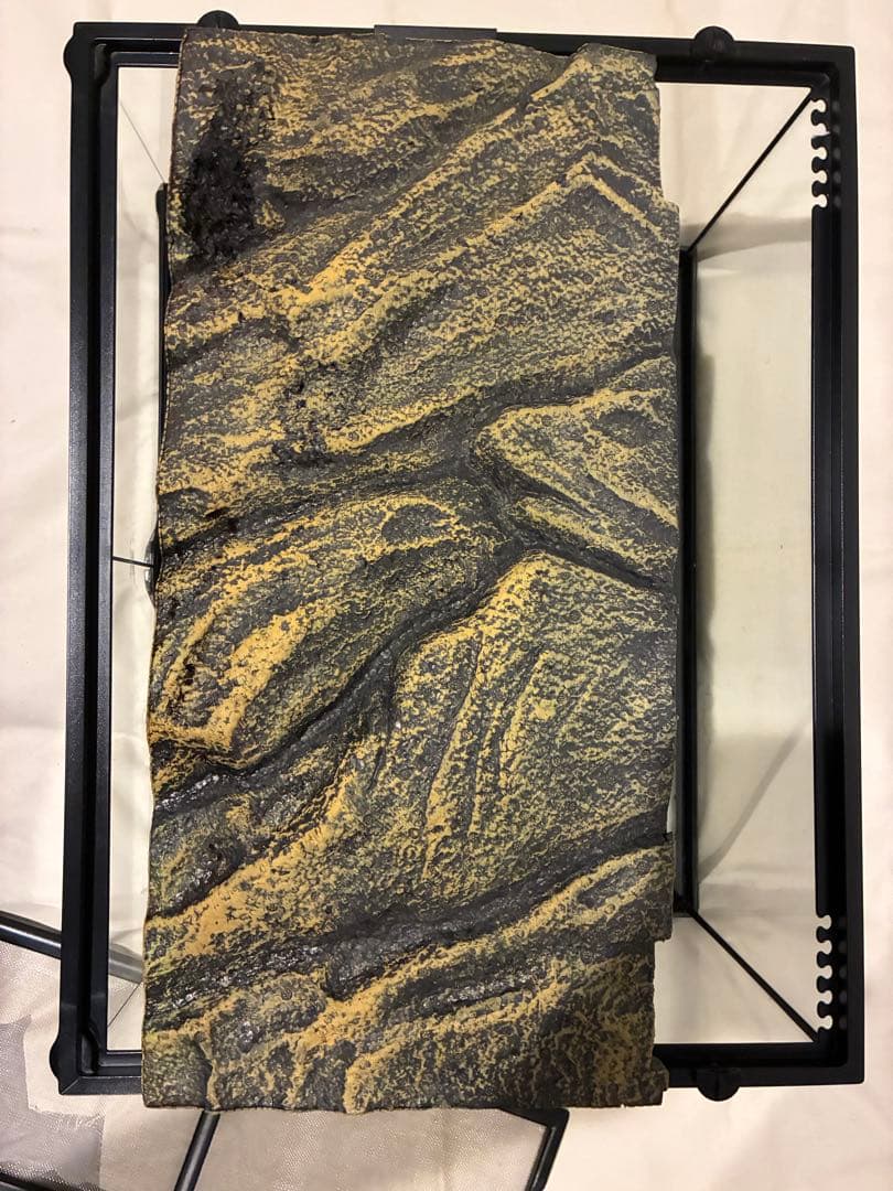 エキゾテラ グラステラリウム 6030 ガラスケージ GEX 爬虫類