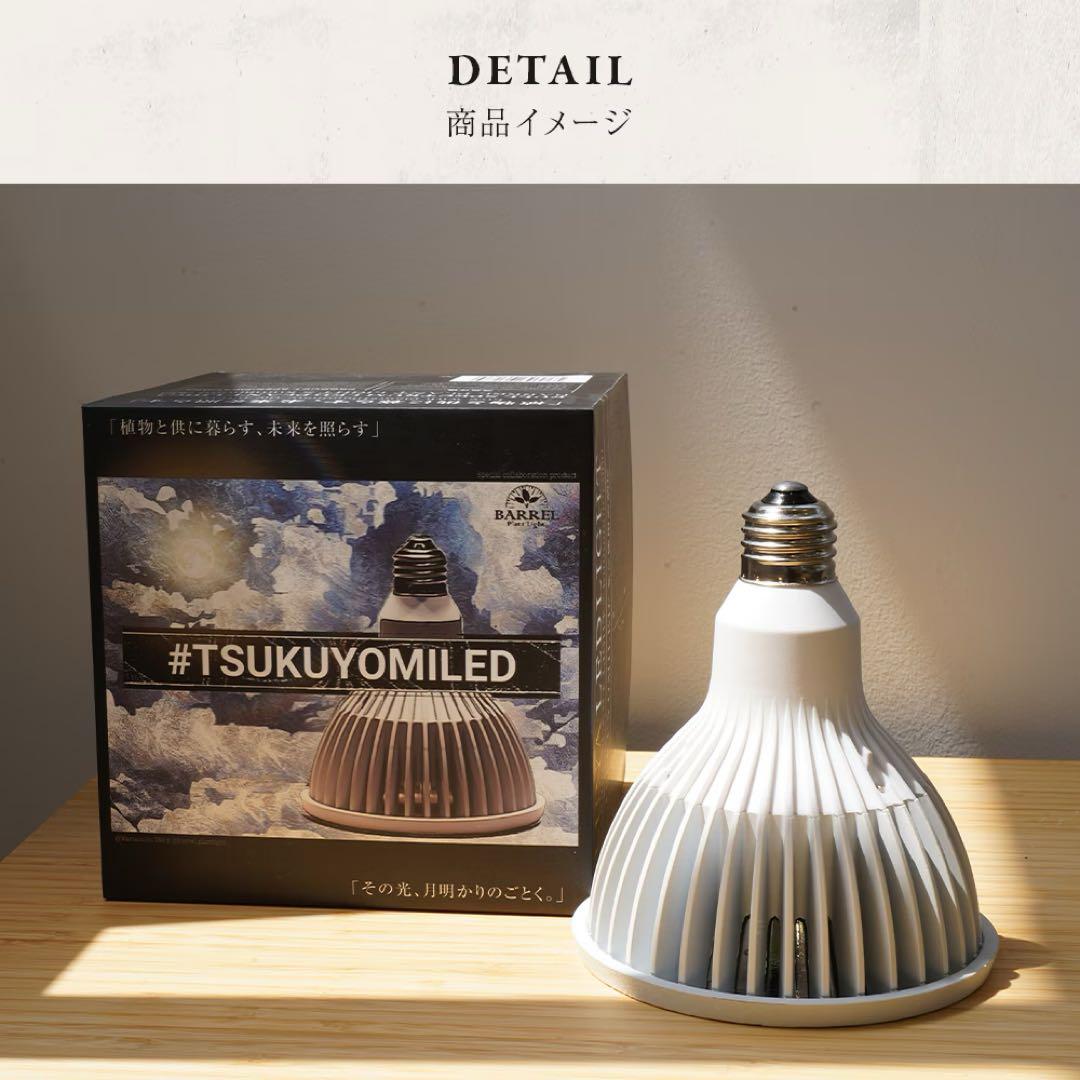 BARREL TSUKUYOMI LED 20W ×2セット