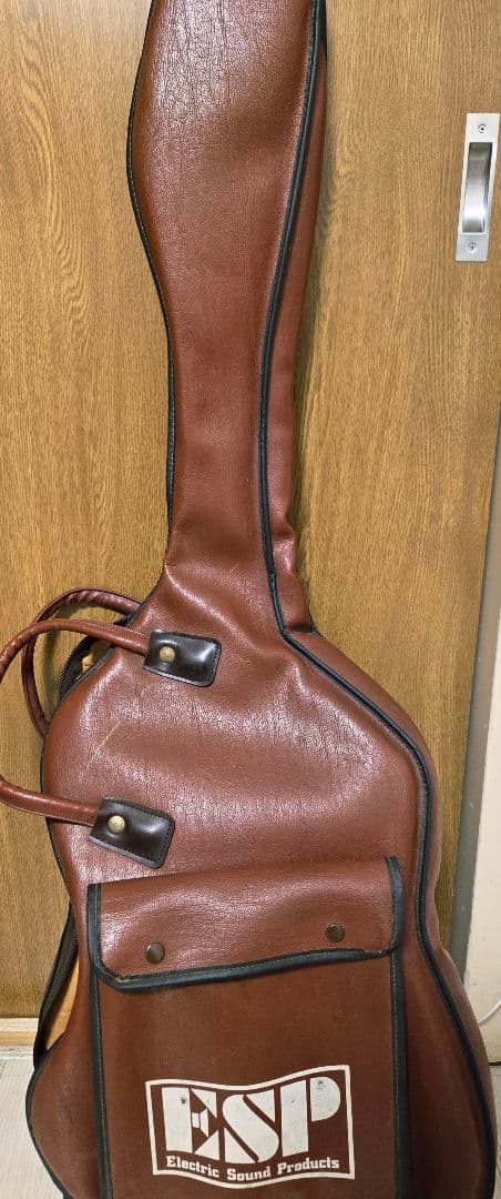 ストラトタイプ　コンポーネントギター ESP