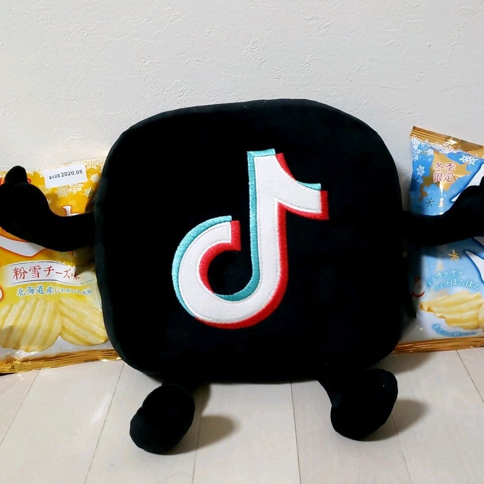tiktok・YouTuber
