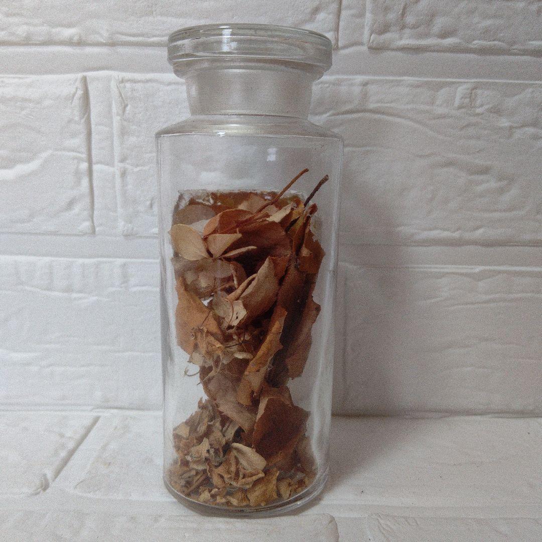 メディシンボドル