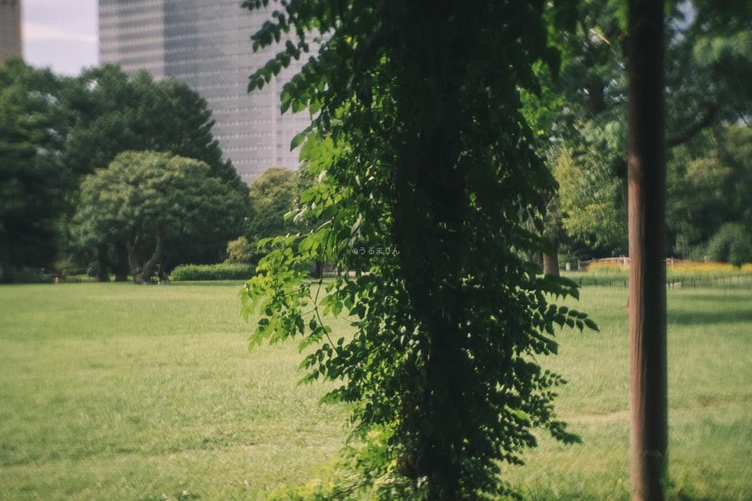 ズノーが1万円以下！Eマウント解禁！ZUNOW Cine 14mm F1.9