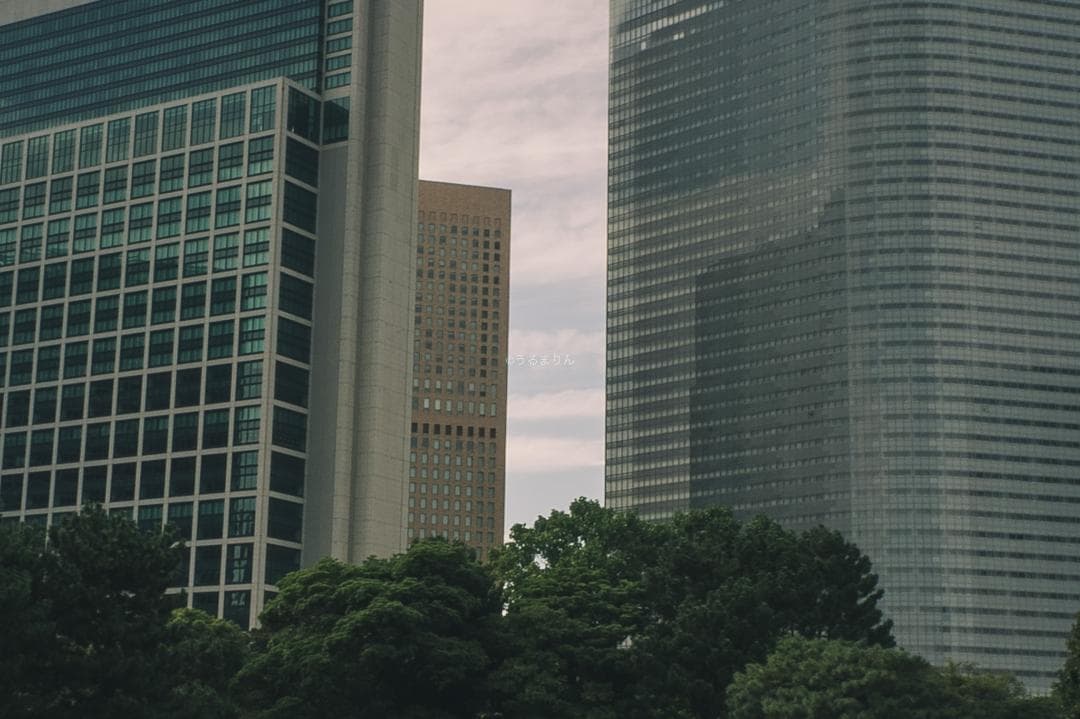 ズノーが1万円以下！Eマウント解禁！ZUNOW Cine 14mm F1.9